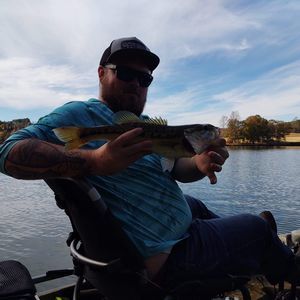 Meet your Posher, Tyler